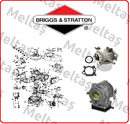 Briggs-Stratton