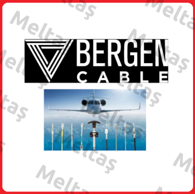 Bergen Cable Technology Llc