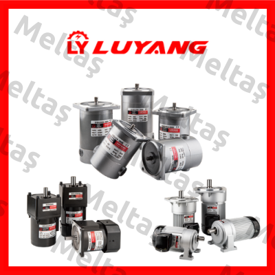 Luyang Gear Motor