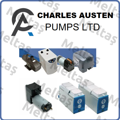 Charles Austen Pumps