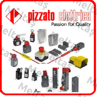 E2 AC-DXBC0402  Pizzato Elettrica