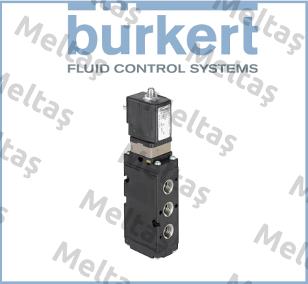 278231 Burkert