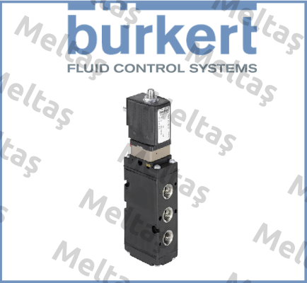 278228 Burkert