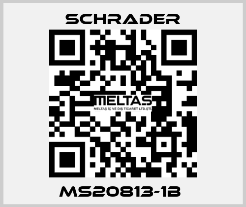 MS20813-1B  Schrader