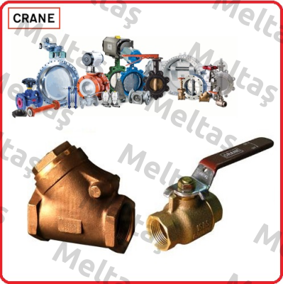 Ǿ 100 VALVES  Crane