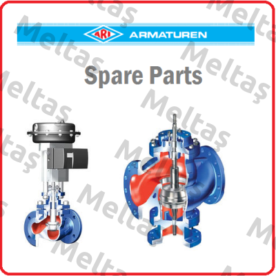 ARI-STEVI 405 non-motor valve ARI