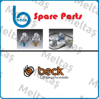 985A.383D14b Beck