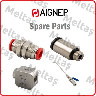 G1/4 - 3025-1/4R Aignep