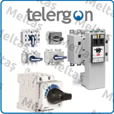 S6-02502DS0（1000VDC） Telergon