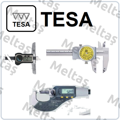 4959 Tesa