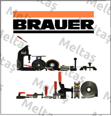 NTS0645 Brauer