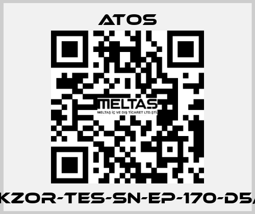 DKZOR-TES-SN-EP-170-D5/F Atos