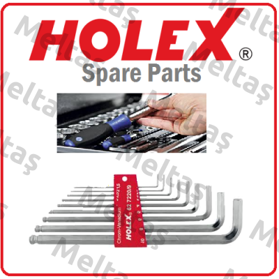 130480-12X1 Holex