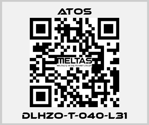 DLHZO-T-040-L31 Atos