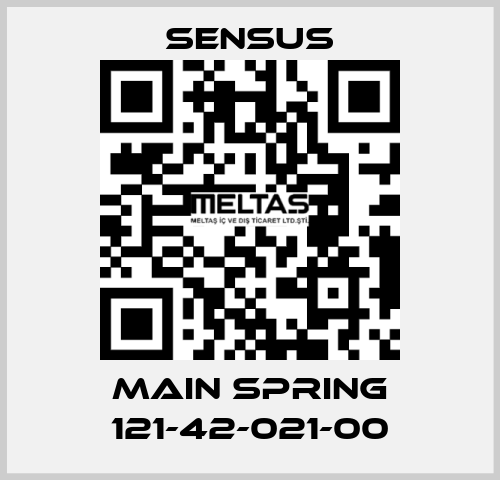 Main spring 121-42-021-00 Sensus