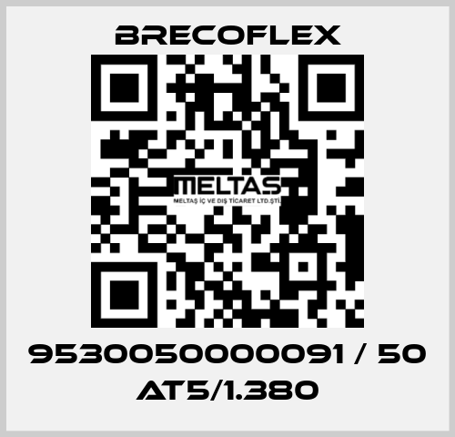 9530050000091 / 50 AT5/1.380 Brecoflex