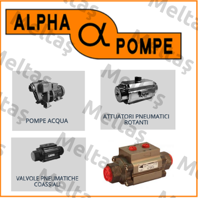 03RA W-T BR1000 Alpha Pompe