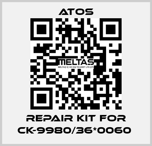 REPAIR KIT FOR CK-9980/36*0060  Atos