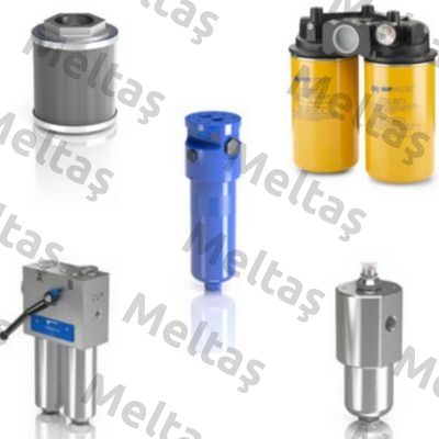 MPA-220-G2-M250   2" NPT MP Filtri