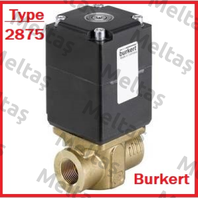 00261072 Burkert