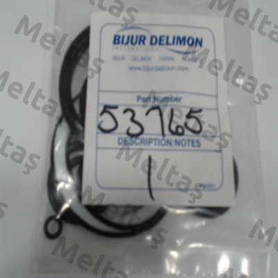 53765 Bijur Delimon