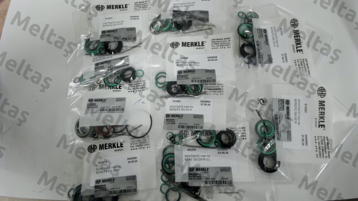 REPAIR KIT FOR BZ 500.25/16.03.201.080.NR33.V Merkle