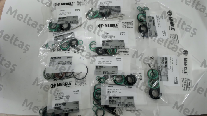 REPAIR KIT FOR BZ 500.32/20.03.201.030.NL38.V Merkle