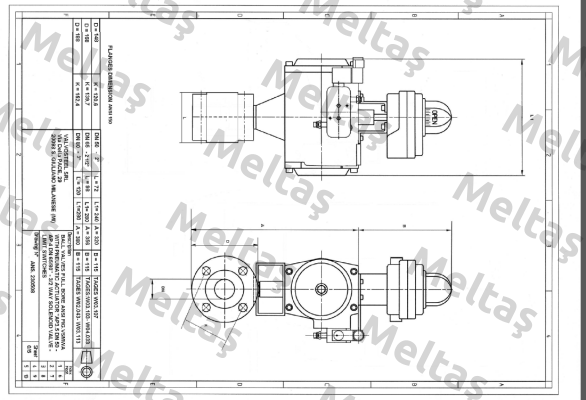 FIG.VSMWA+AP4 DN80  ARI