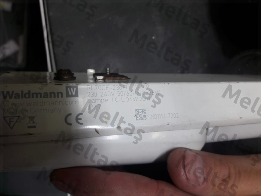 RL70CE-236 H (112449000-00081304) Waldmann