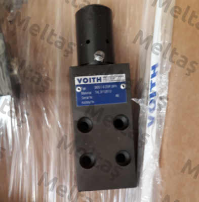 DK55.1-6-250P-391K Voith