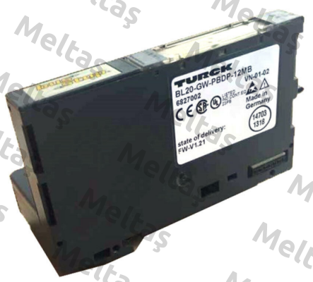 BL20-GW-PBDP-12MB Turck