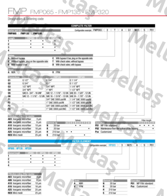 FMP-065-1-B-A-G1-A16-N-P01 MP Filtri