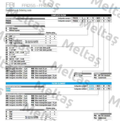 FRI-850-B-A-F1-A03-N-P01 MP Filtri