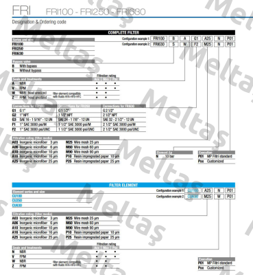 FRI-630-B-A-F1-A10-N-P01 MP Filtri