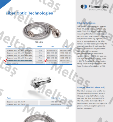 6051-1100-00 BFI AUTOMATION